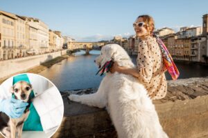 ‘Tourist’ dogs caught up in Europe travel backlash with /day anti-poo charge in popular city