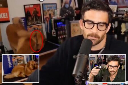 Lefty Twitch streamer Hasan Piker accused of activating his dog’s ‘shock collar’ in viral clip