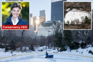 Exclusive | Central Park Conservancy bigwig blasted by Wollman Rink operator she bragged about dissing in op-ed