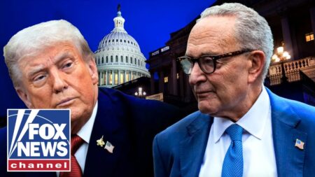 ‘NO DOUBT ABOUT IT’: Dems blasted for putting ‘partisan’ politics first amid shutdown