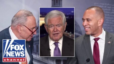 ‘THIS IS INSANITY’: Newt Gingrich ridicules Dems’ handling of shutdown on Capitol Hill