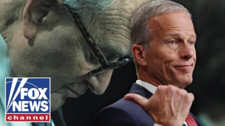 ‘THEY’RE STUCK’: Dems ‘really don’t know’ what they’re doing, Senate Majority leader says
