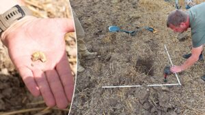 Treasure trove of priceless Celtic gold and silver coins unearthed at ‘secret’ European site