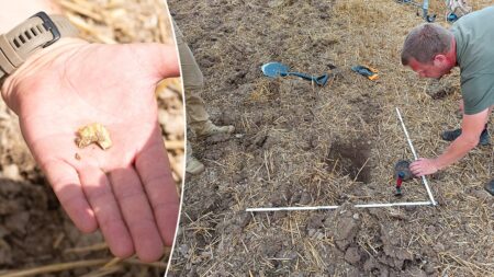 Treasure trove of priceless Celtic gold and silver coins unearthed at ‘secret’ European site
