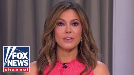 Lisa Boothe: Democrats are in a ‘weak’ position here