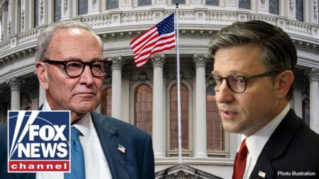 SCHUMER SCAM: What Americans ‘see right through’