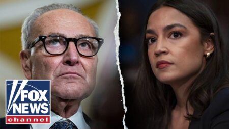 Dems lack a ‘sense of emergency’ surrounding government shutdown