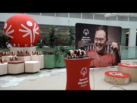 Sport, a lever for inclusion for people with intellectual disabilities