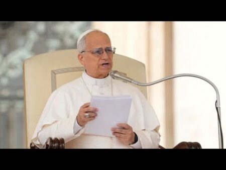 Pope Leo XIV weighs in on abortion debate by questioning what it really means to be ‘pro-life’