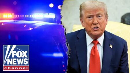 100 arrests in 72 hours: US city sees MAJOR crackdown on crime