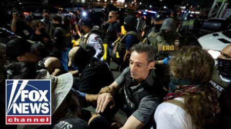 ‘CRIME TSUNAMI’: Chicago in spotlight as anti-ICE protests turn violent