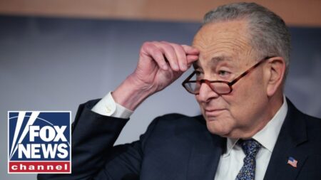 ‘SCARED OLD MAN’: Emmer says Schumer clinging to power amid shutdown