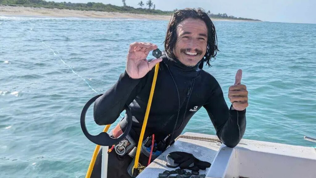 Divers discover  million in gold and silver coins in Florida shipwreck from 1700s