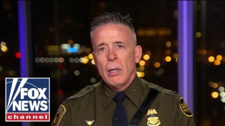 Chicago police are ‘handicapped beyond belief,’ says CBP chief patrol agent