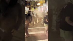 Arrests made after pro-Palestine demonstration in Boston