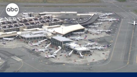 Air traffic controller shortages amid shutdown lead to canceled flights, delays