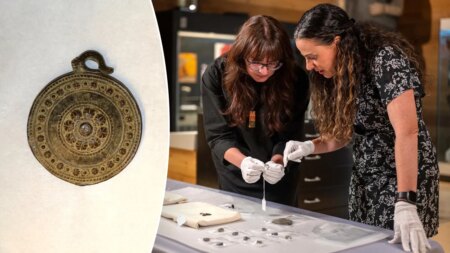 Experts intrigued after thrift shopper spots mysterious ancient artifacts on sale for 