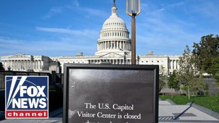 Union leaders hold presser on impact of government shutdown