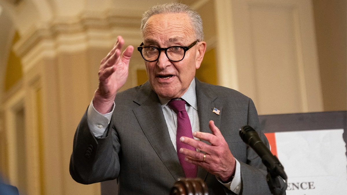 Chuck Schumer speaking to press members