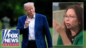 ‘NOT TRUE’: Dem senator calls out Trump admin over ICE actions