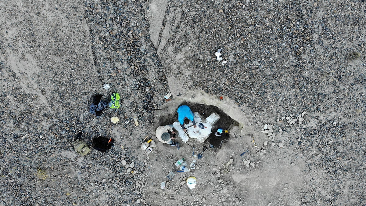 Aerial view of excavators working next to bones