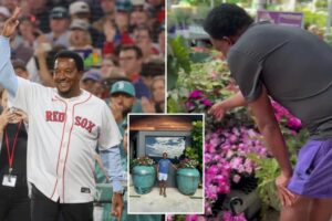 Exclusive | Famed MLB hothead Pedro Martínez now relaxes by keeping his gardens ‘groomed and beautiful’