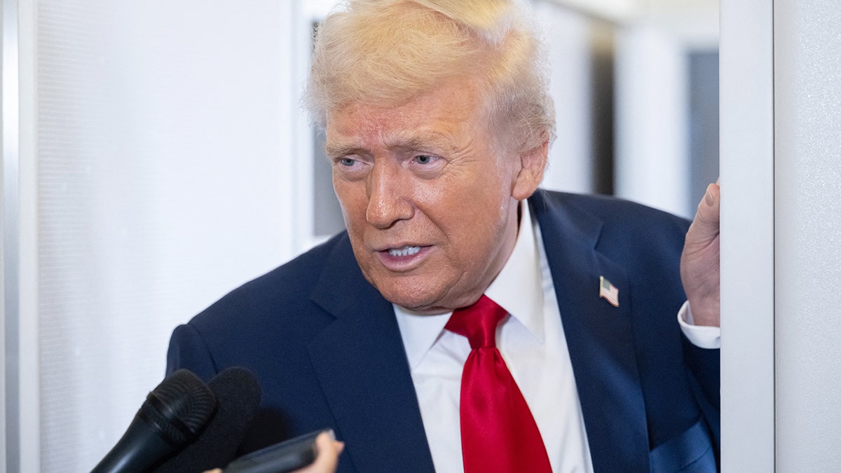 President Donald Trump