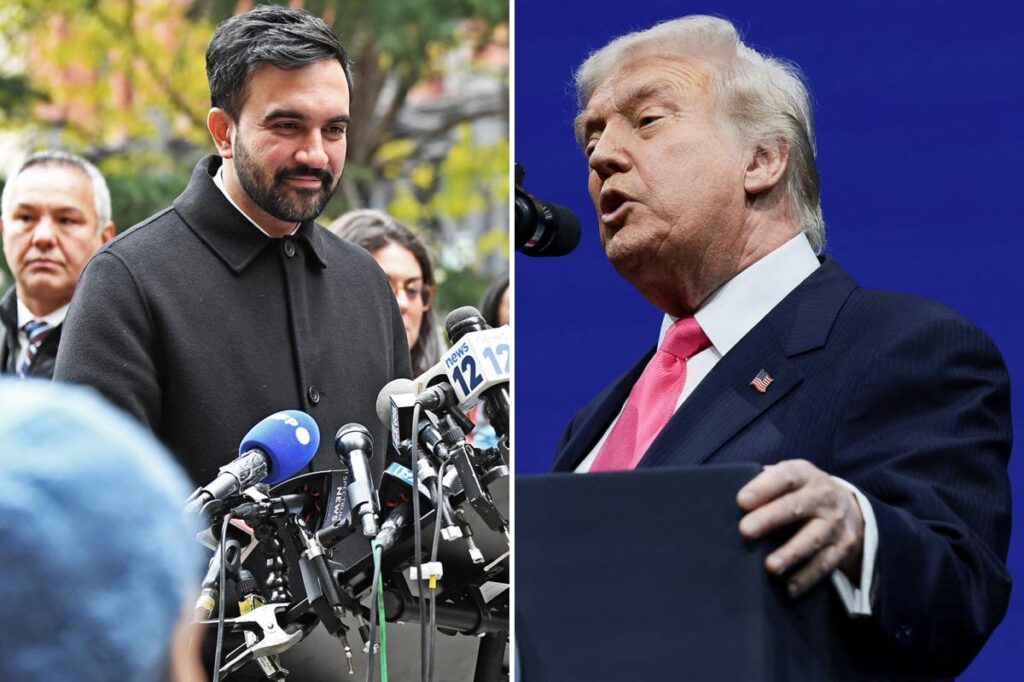 Zohran Mamdani wants to ‘speak plainly’ to Trump about affordability at high-stakes White House meeting: ‘I’ll make that case to anyone’