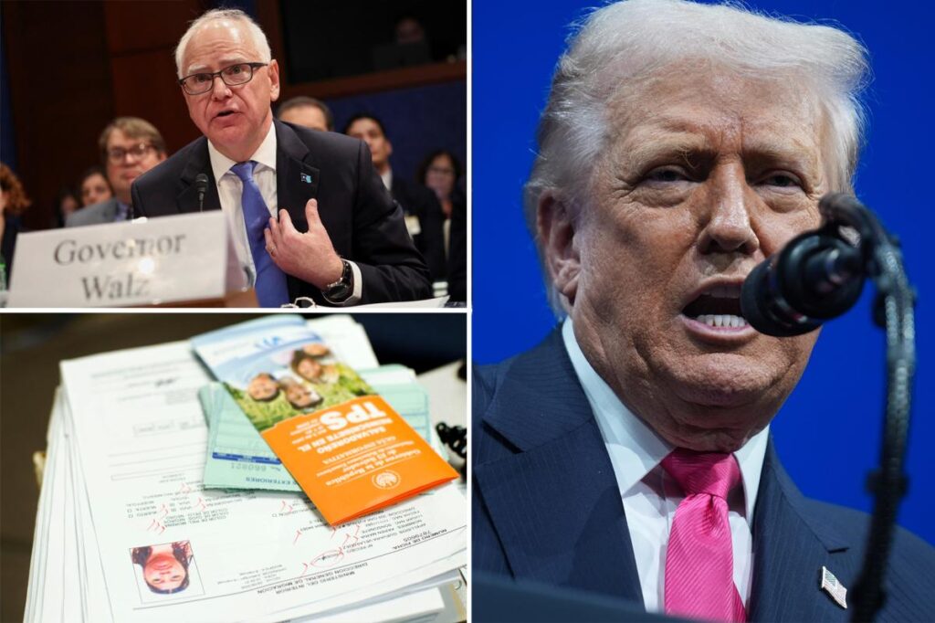 Trump ‘terminating’ deportation protections for ‘Somalis in Minnesota’ 