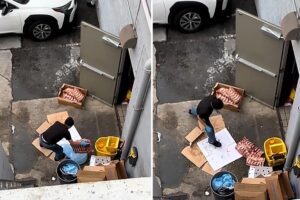 Stomach-churning video shows worker slamming frozen ribs on dirty pavement, forcing closure of Bay Area restaurant
