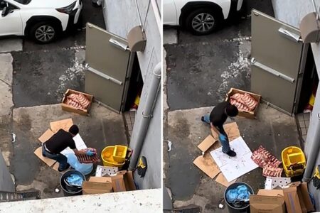 Stomach-churning video shows worker slamming frozen ribs on dirty pavement, forcing closure of Bay Area restaurant