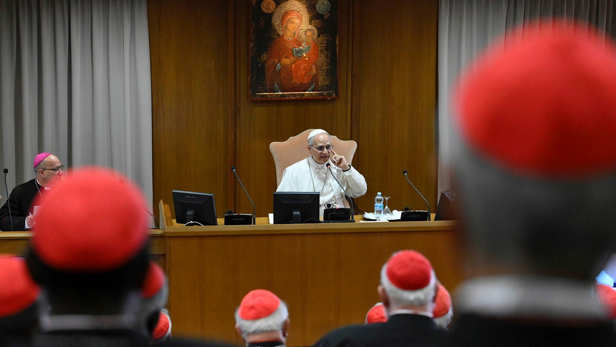 Pope Leo XIV addresses the College of Cardinals