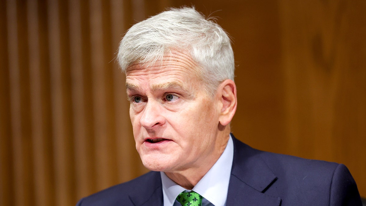 Sen. Bill Cassidy during a hearing