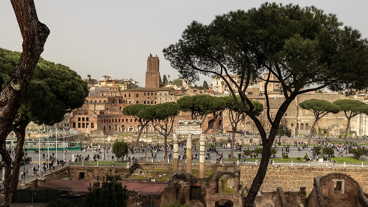 View of the Roman Forum in Rome, stone pine trees.