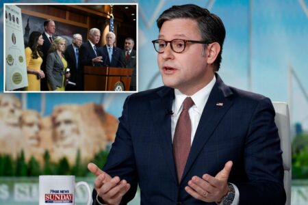 Arctic Frost provision in spending bill to let spied-on senators sue for 0K will ‘probably’ be repealed: Mike Johnson Arctic Frost provision in spending bill to let spied-on senators sue for 0K will ‘probably’ be repealed: Mike Johnson