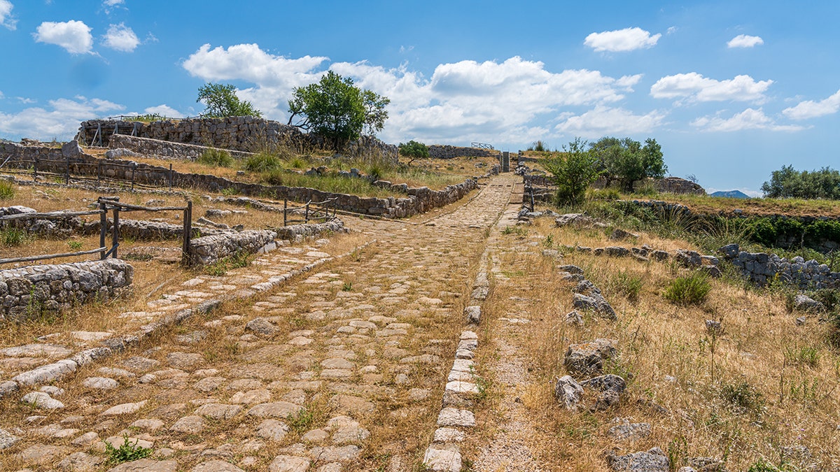 Straight cobblestone road lined with green trees and grass on both sides.