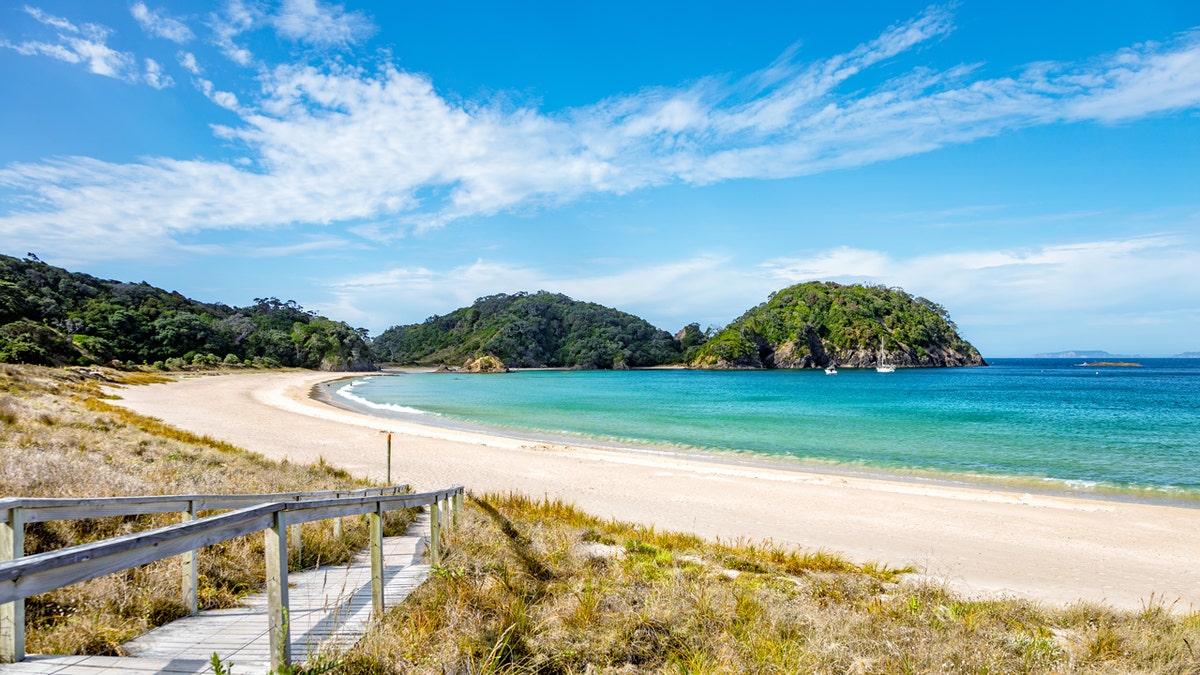 new zealand sunny beach