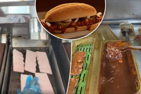 McDonald’s fans both hungry and horrified after worker exposes how the McRib sandwich is made: ‘McHell naw’ McDonald’s fans both hungry and horrified after worker exposes how the McRib sandwich is made: ‘McHell naw’