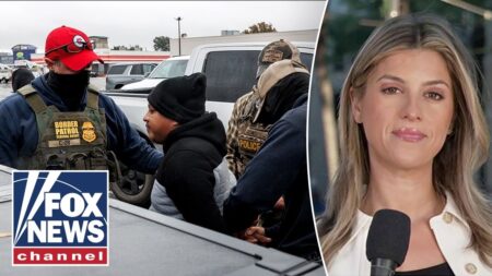 Manhunt underway after illegal migrant BOLTS from Louisiana law enforcement Manhunt underway after illegal migrant BOLTS from Louisiana law enforcement