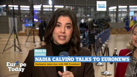 ‘Europe’s unity our strength,’ European Investment Bank chief Calviño tells Euronews ‘Europe’s unity our strength,’ European Investment Bank chief Calviño tells Euronews