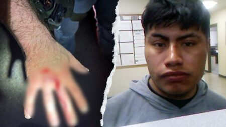 Illegal immigrant bites ICE officer in ‘gross attack’ while resisting arrest: DHS Illegal immigrant bites ICE officer in ‘gross attack’ while resisting arrest: DHS