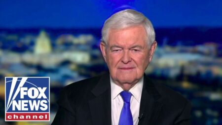 Newt Gingrich: She WIPED THE FLOOR with Dems… Newt Gingrich: She WIPED THE FLOOR with Dems…