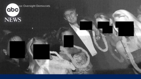 Democrats release new Epstein photos showing Trump, Clinton, Woody Allen and more