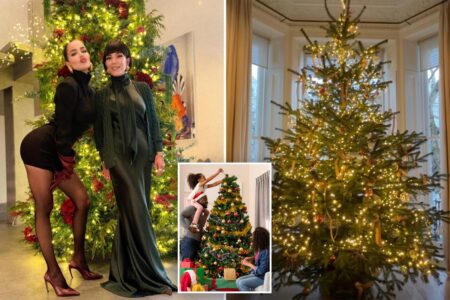 Strange celebrity ‘naked Christmas tree’ trend sparks pushback: ‘Ornaments are a must’ Strange celebrity ‘naked Christmas tree’ trend sparks pushback: ‘Ornaments are a must’