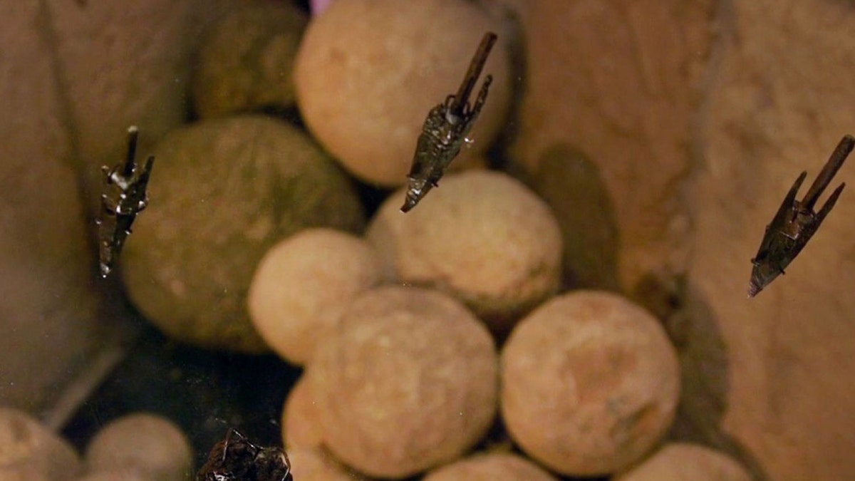 Example of ancient arrowheads at site