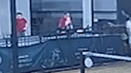 Pickleball player plunges to his death in 3-story fall after climbing over safety rail to retrieve ball Pickleball player plunges to his death in 3-story fall after climbing over safety rail to retrieve ball