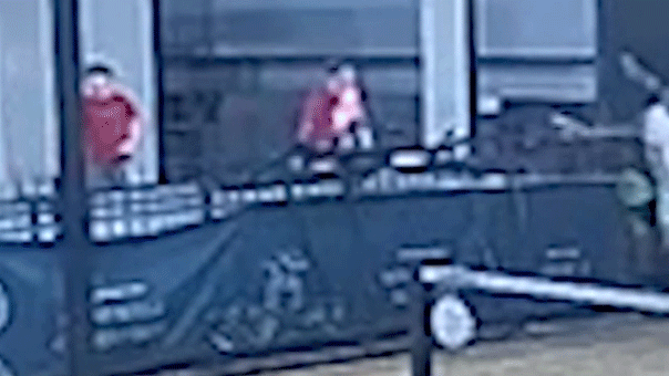 Pickleball player plunges to his death in 3-story fall after climbing over safety rail to retrieve ball Pickleball player plunges to his death in 3-story fall after climbing over safety rail to retrieve ball