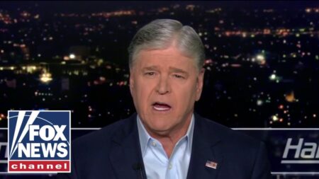 ‘STOP LYING!’: Hannity picks apart Dems’ ‘deception’ about Minneapolis shooting