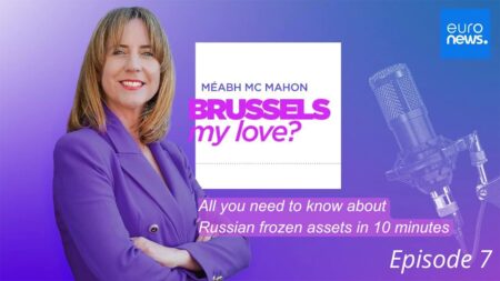 All you need to know about Russian frozen assets in 10 minutes