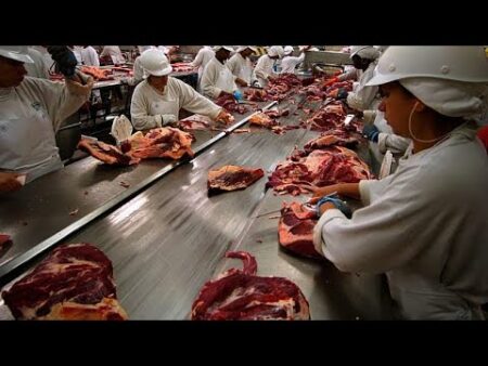 Fact check: Will the Mercosur trade deal open the door to ‘toxic’ food in the EU?